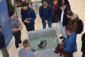 Nyílt Nap_20251104_07